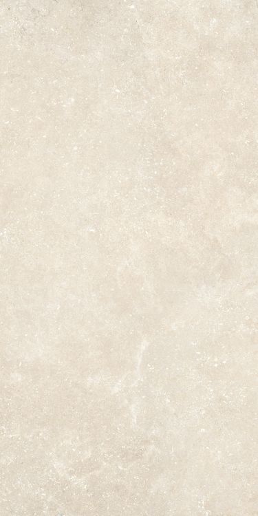 Untamed Wander Warm 24 x 48